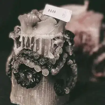 BAT86👙超薄 BDSM 男生蕾丝内衣, 高腰束腰带 分裂式真丝绸腰带 兼容豹纹丝绸腰带拉链 带黑色调节带材的可拆卸背带裤， 全新