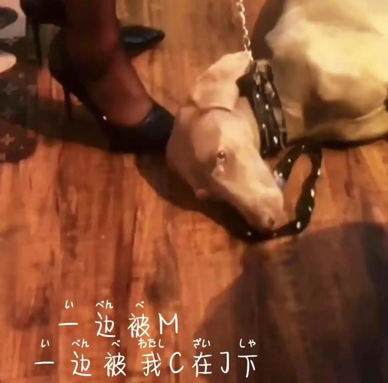 西檬之家-字母圈新人指南