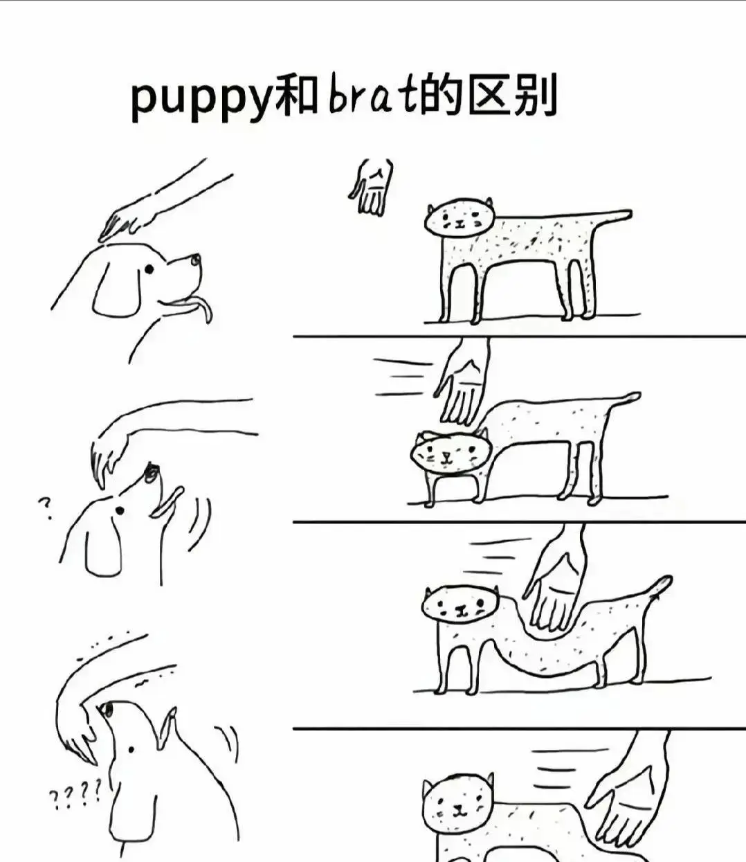 西檬之家-圣水是什么意思？字母圈新人入圈全解析