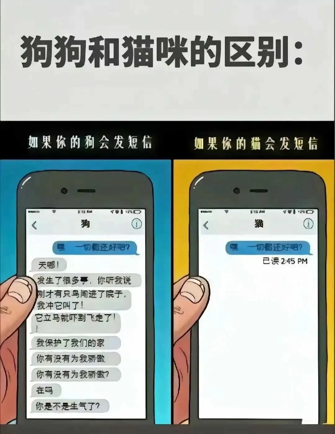 西檬之家-字母圈TK是什么？BDSM新手权威指南