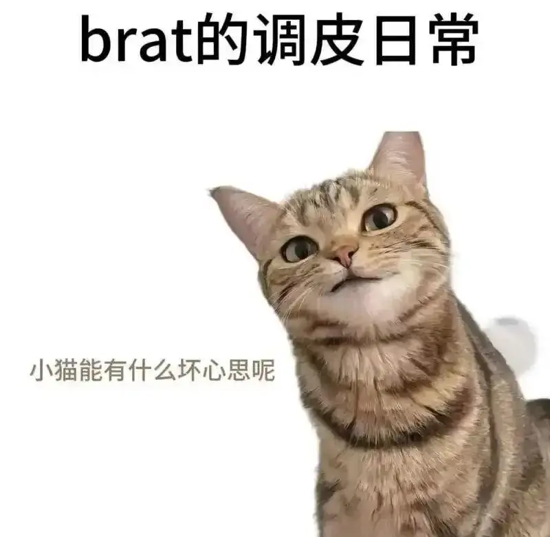 西檬之家-字母圈的DT是什么意思？