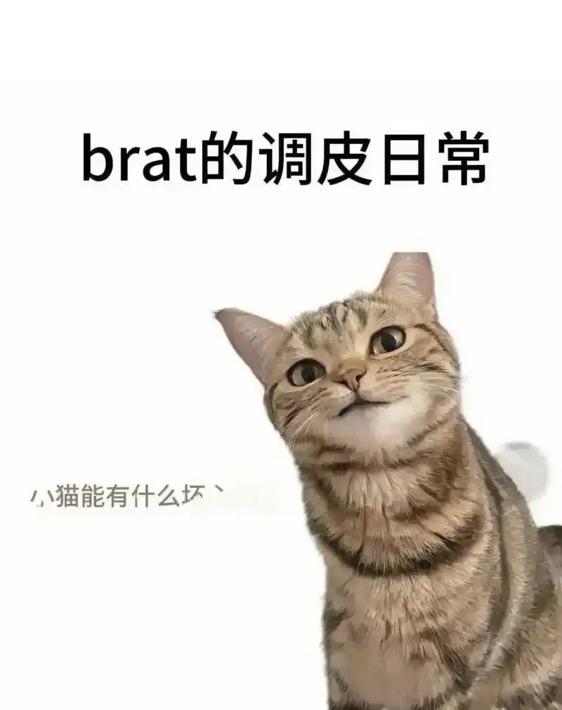 西檬之家-字母圈的Spank实践指南
