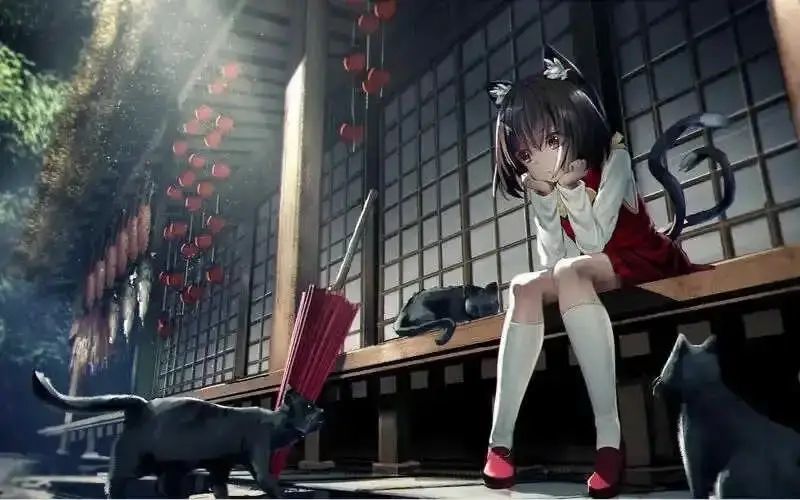 Ddlg是什么 - 2023_12_06_21_17_IMG_9224