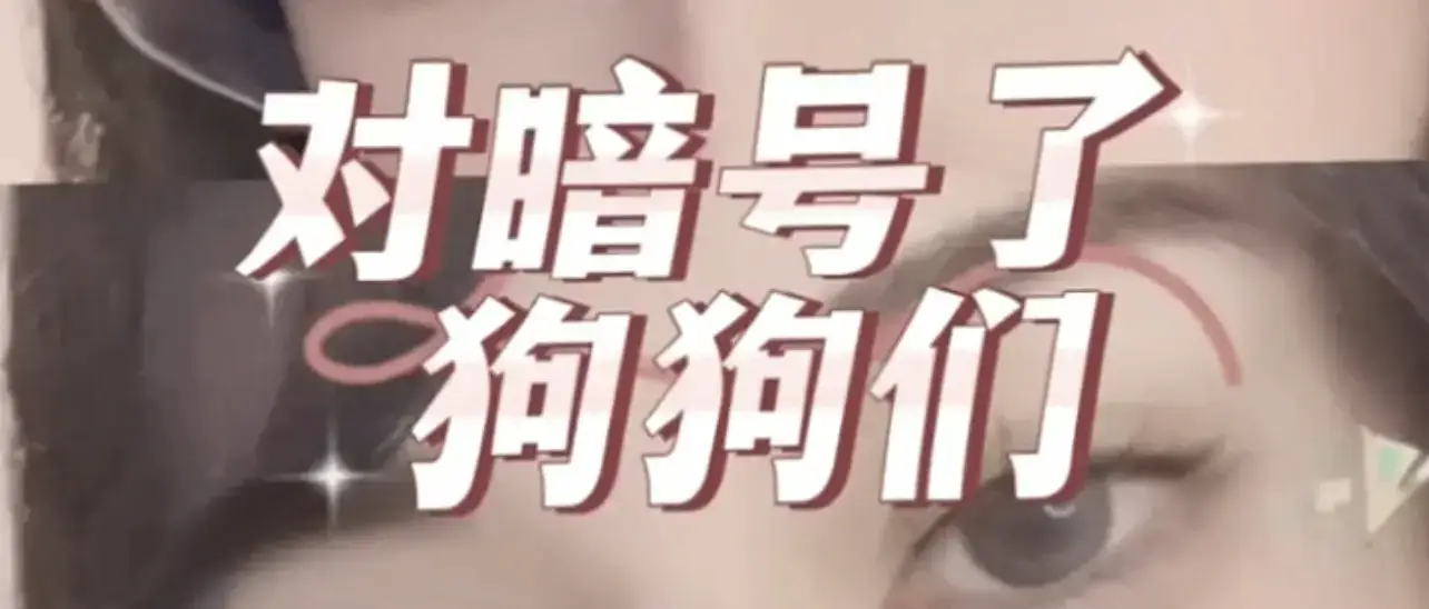 西檬之家-字母圈DT是什么？掌握BDSM沟通艺术