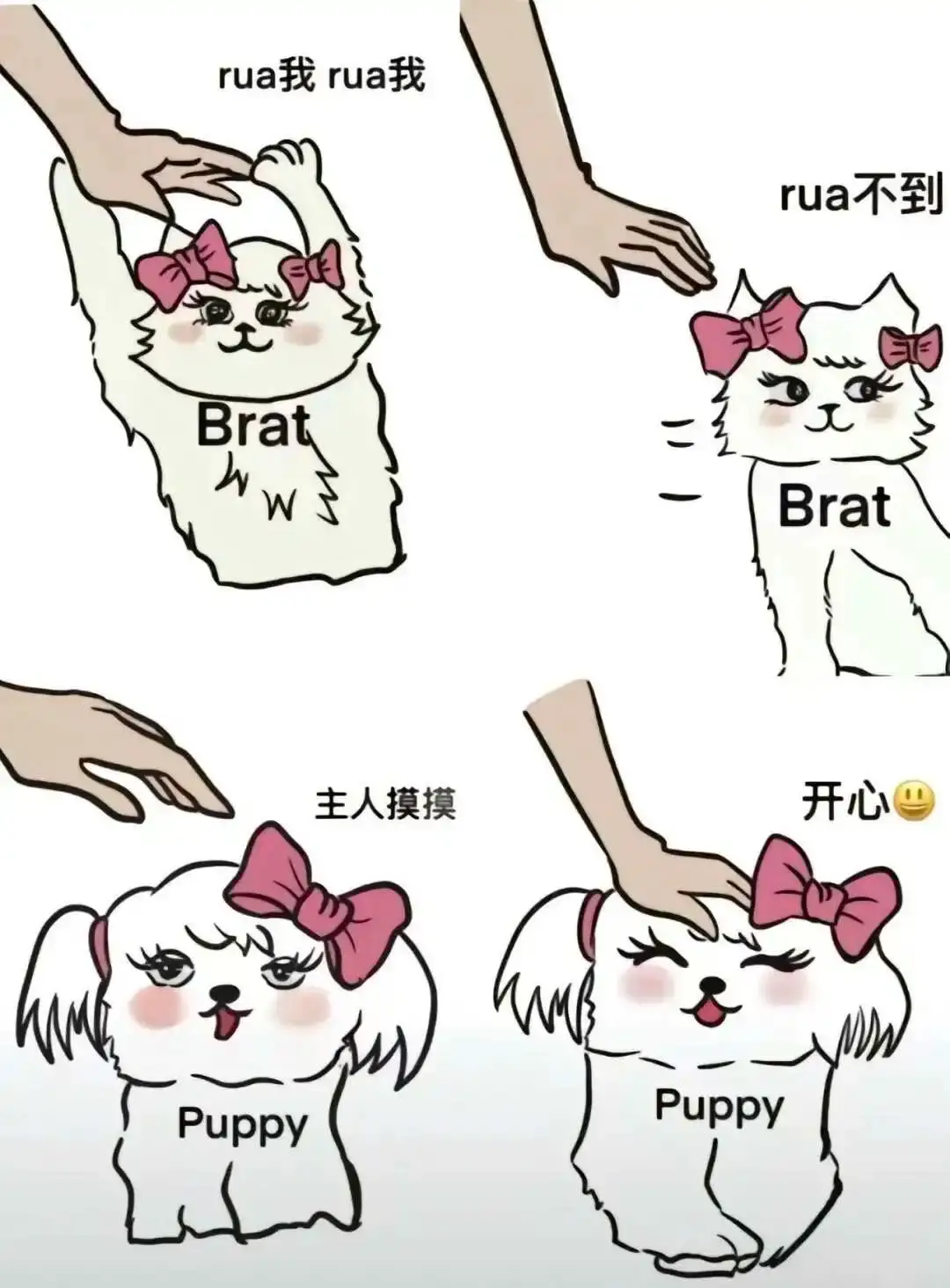 西檬之家-小圈新人必读指南：理解和融入小圈文化