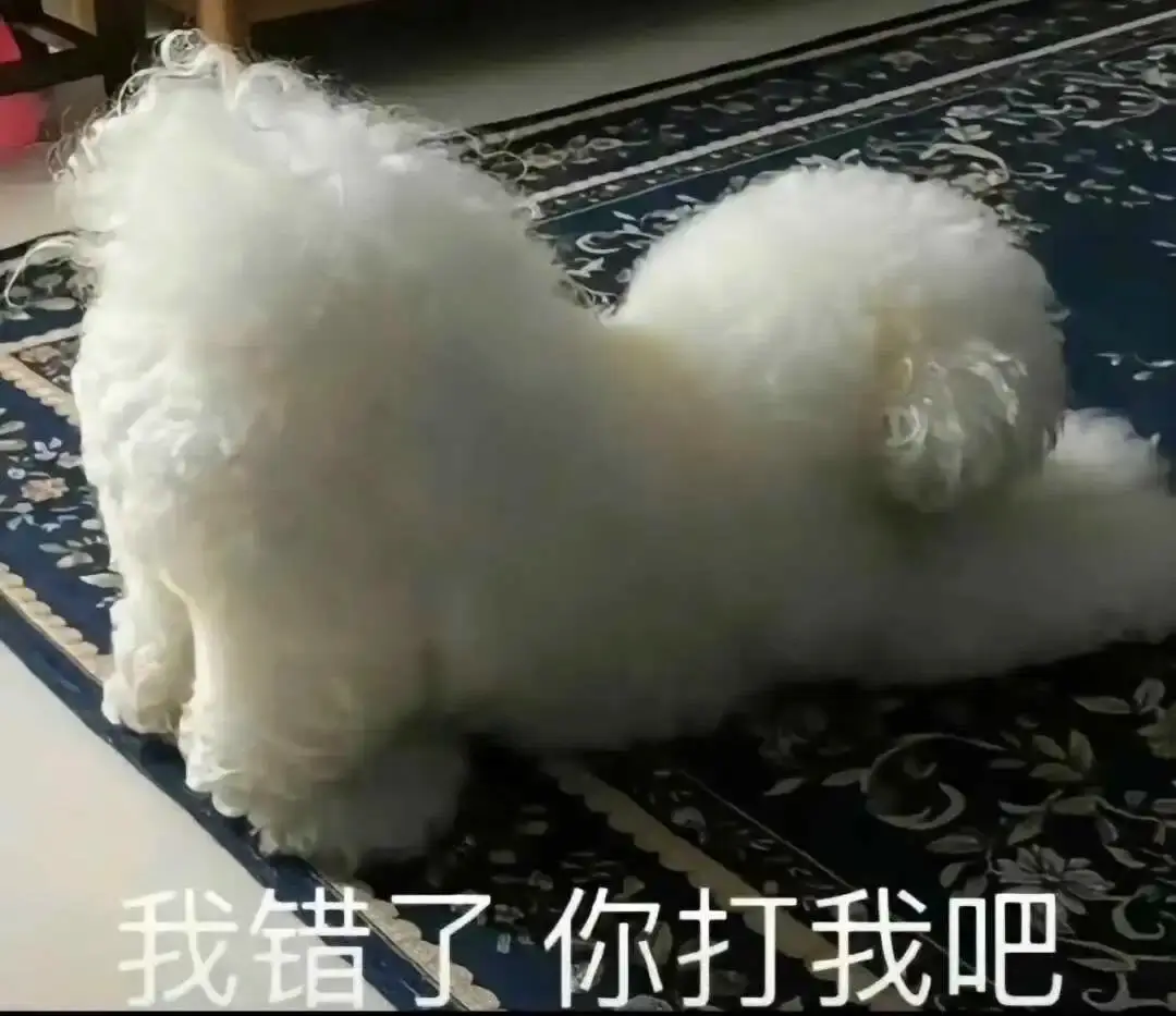 【西檬之家】新人必读：字母圈中Sub是什么？全面术语解析